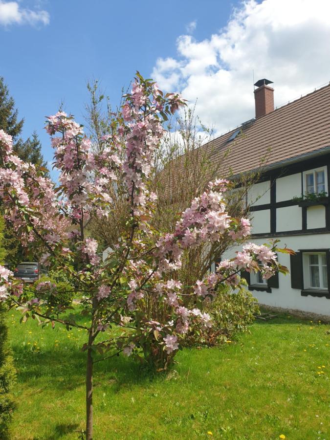 Lusatia Farm Leśna Extérieur photo