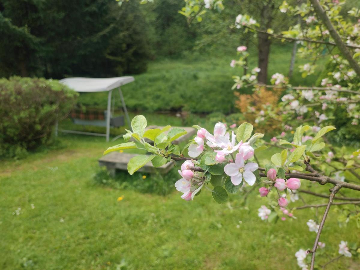 Lusatia Farm Leśna Extérieur photo