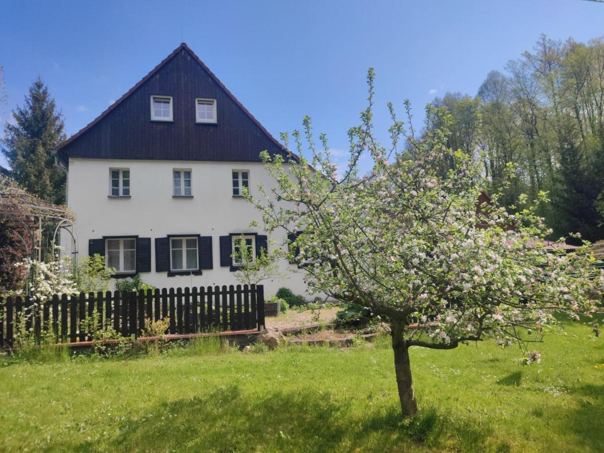 Lusatia Farm Leśna Extérieur photo