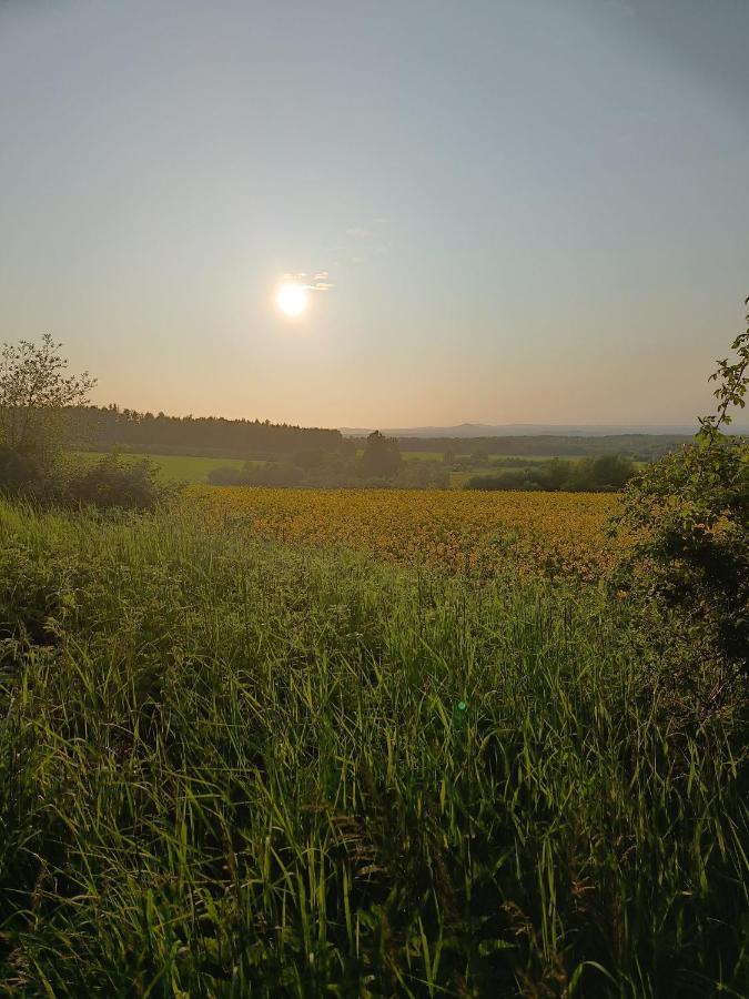 Lusatia Farm Leśna Extérieur photo